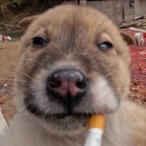 Freebie Artist Mao @lesbiancreek